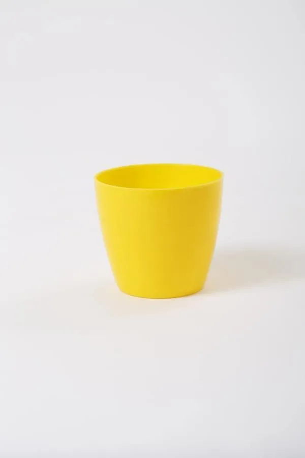 2.5 Inch Yellow Singapore Pot (67mm)