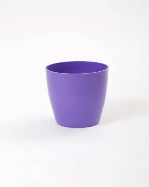 4 Inch Violet Singapore Pot (105mm)