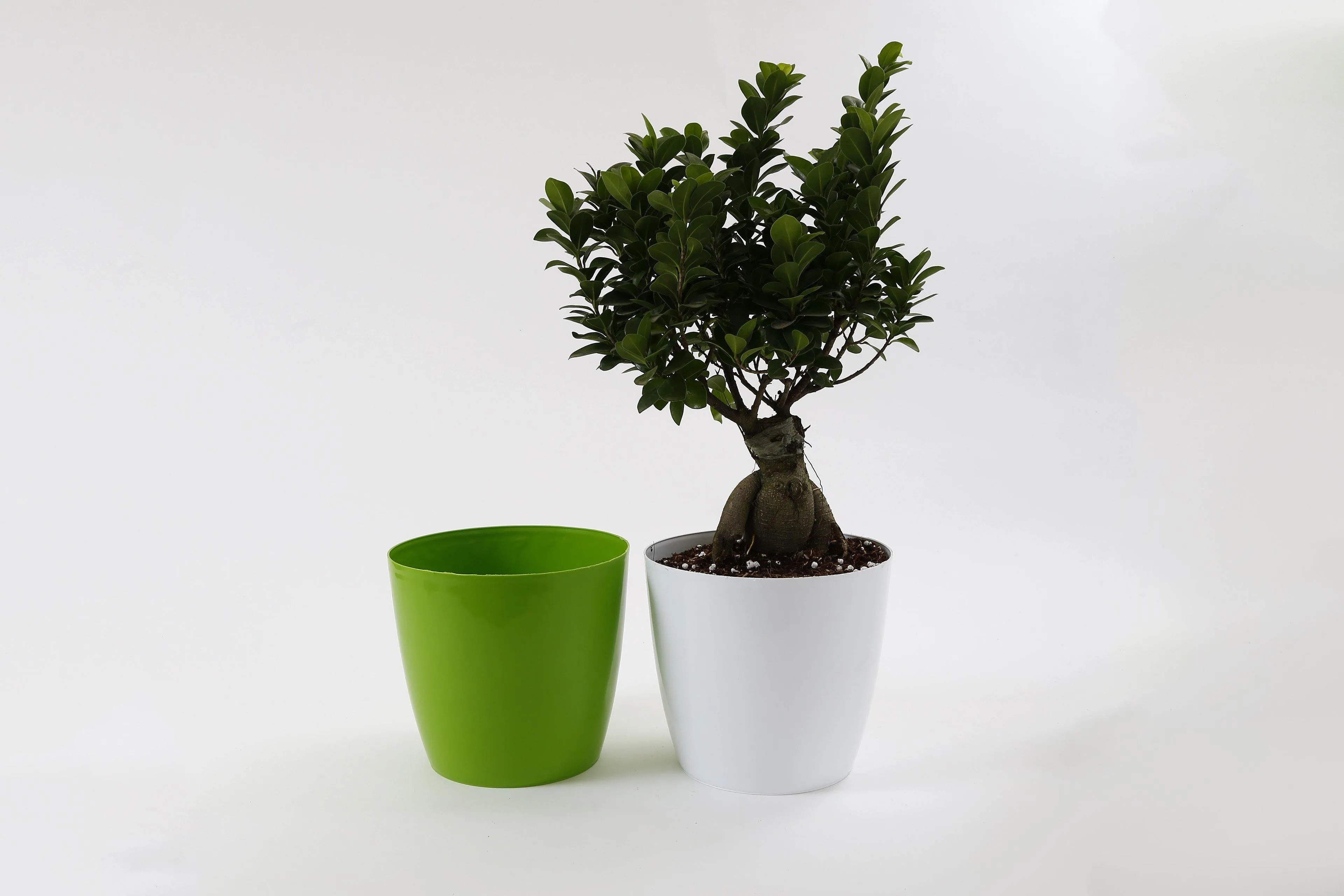 8.5 Inch Green Singapore Pot (220mm)