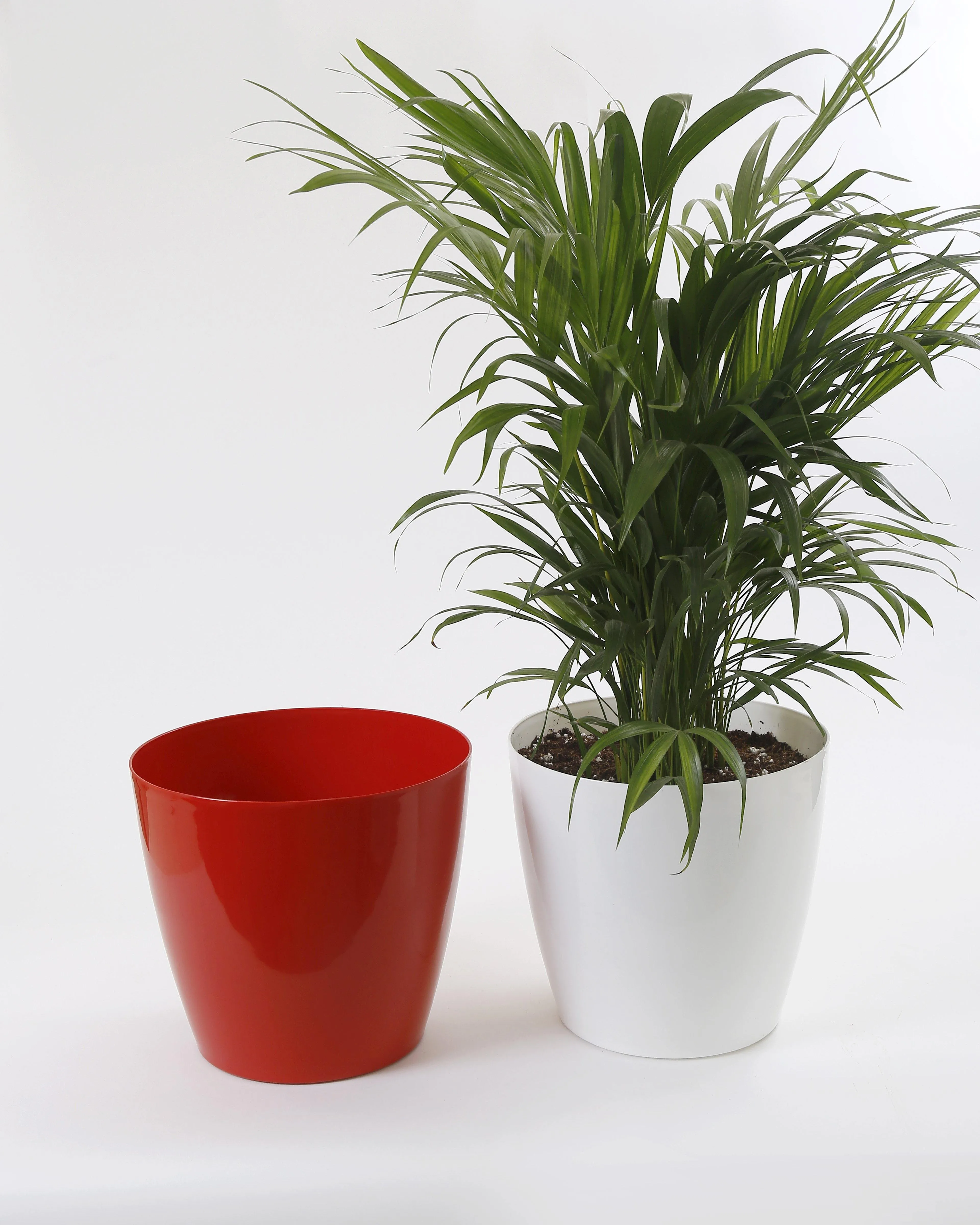 8.5 Inch Red Singapore Pot (220mm)