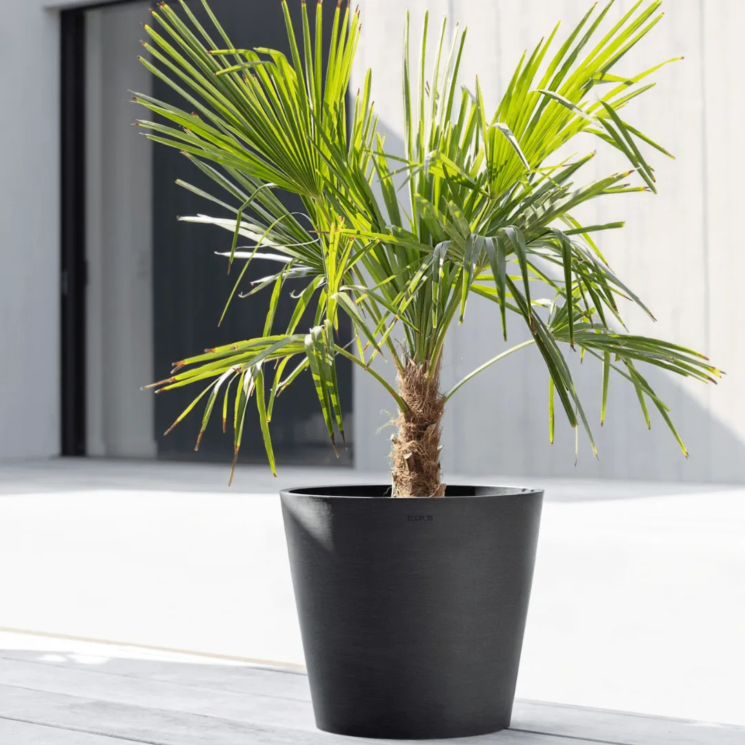 Ecopots Amsterdam Dark Grey