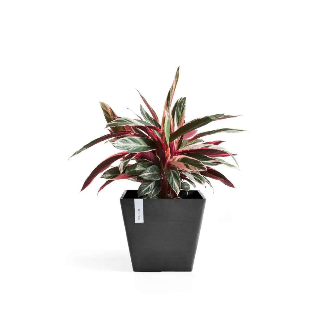 Ecopots Rotterdam 40 Dark Grey