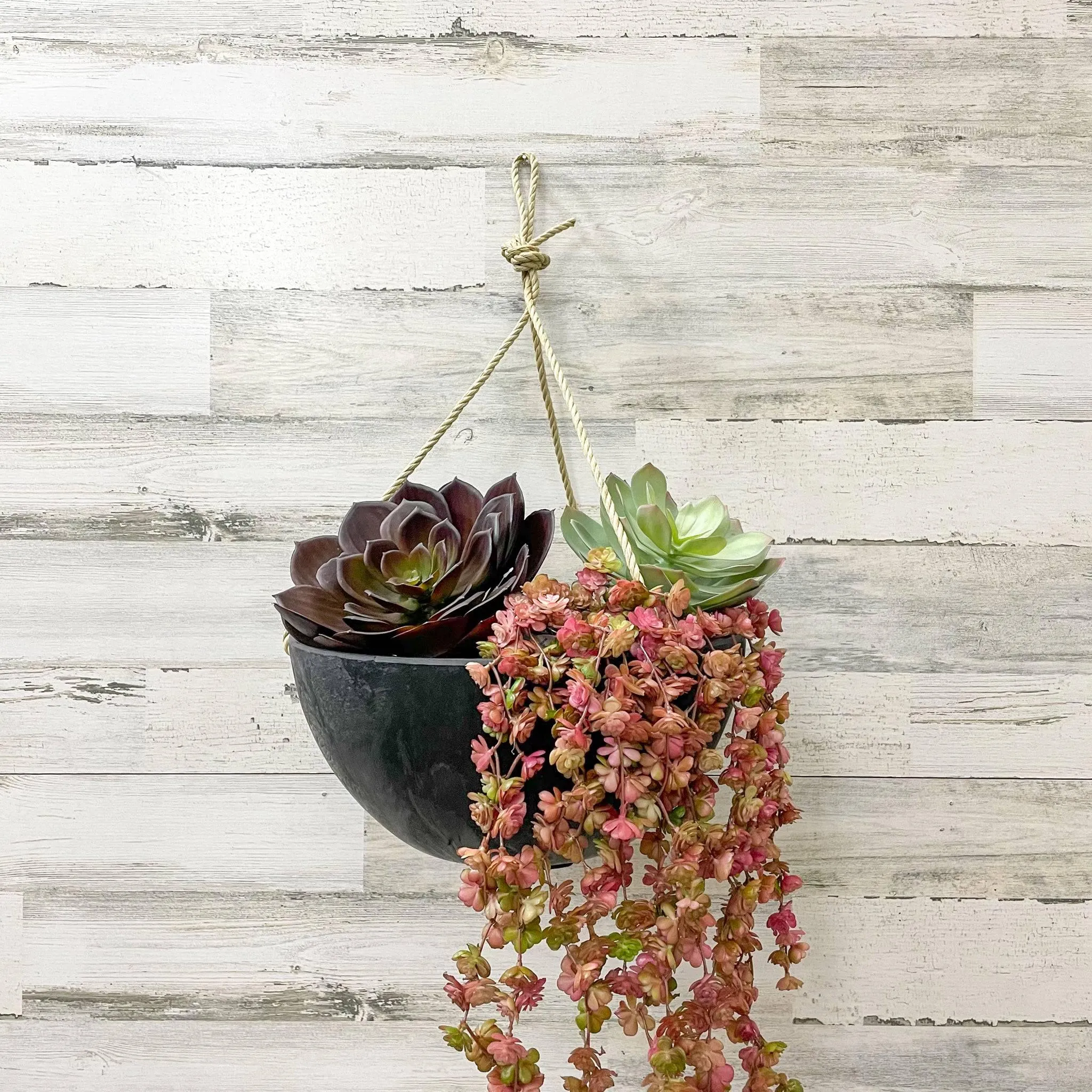 Hanging Bowl Planter - Black - 12-inches