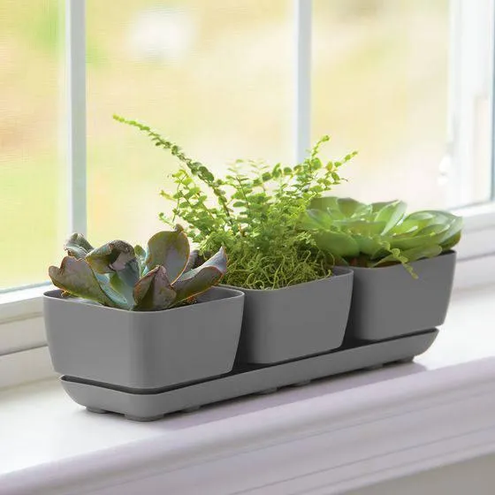 Herb Trio Planter Grey - 4-inches