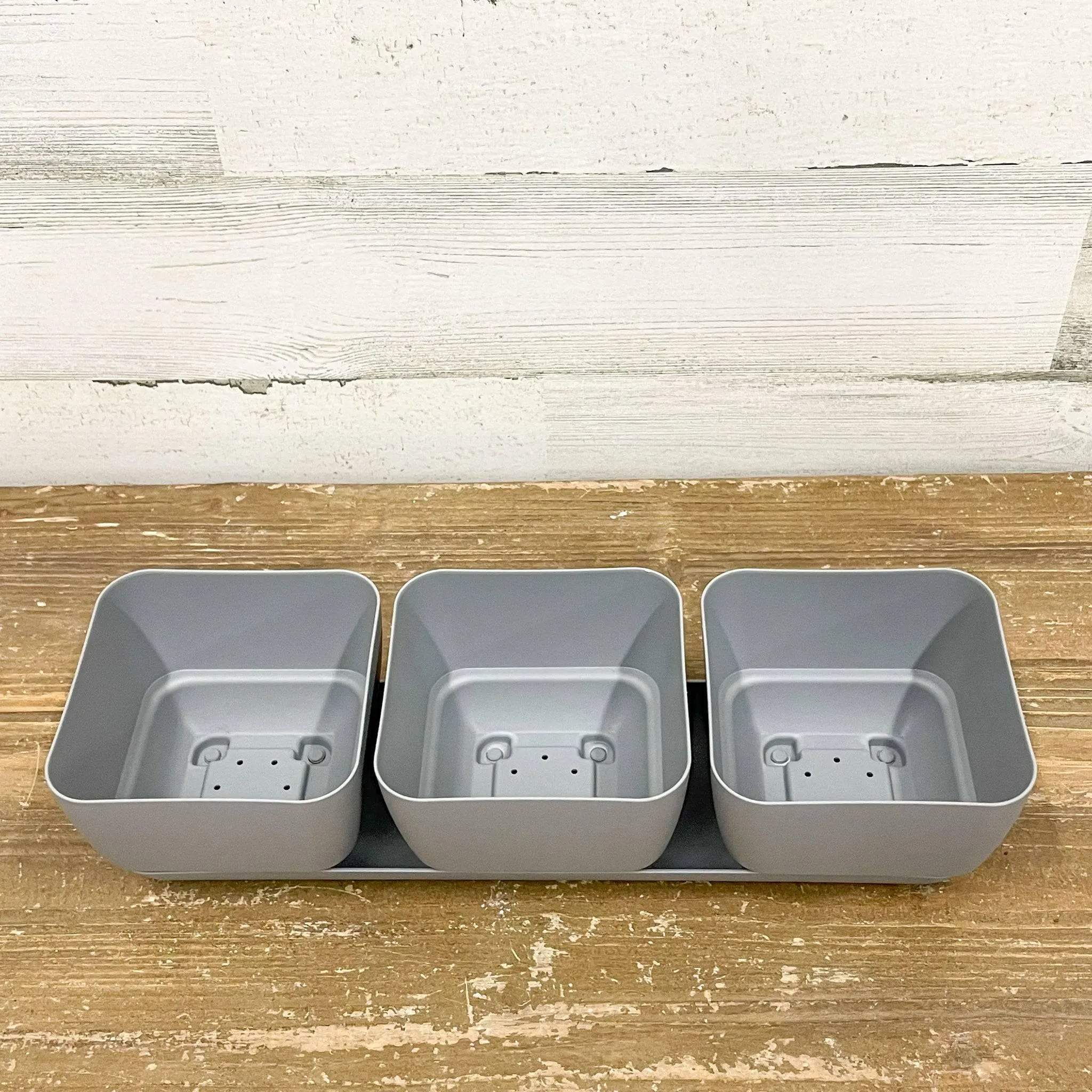 Herb Trio Planter Grey - 4-inches