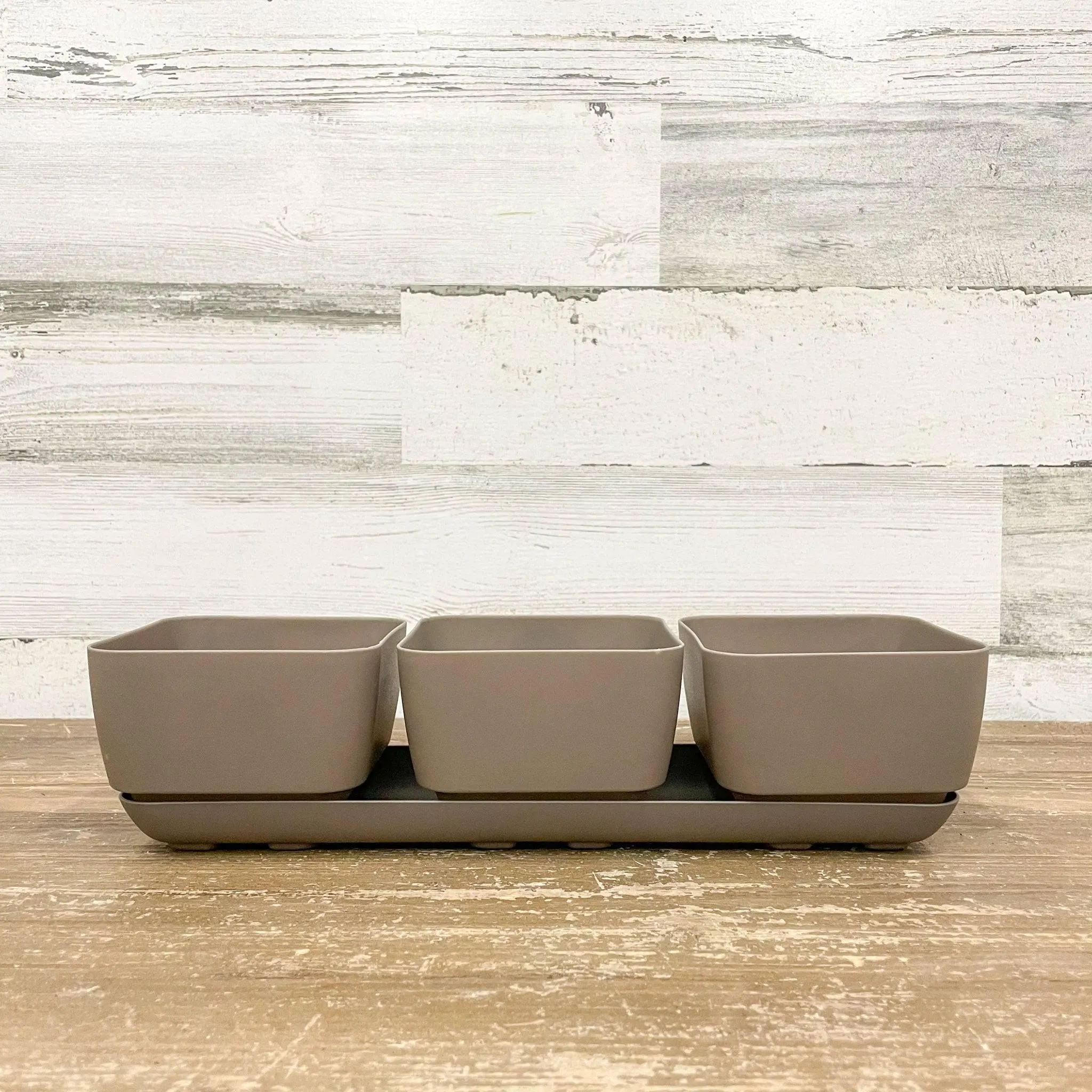 Herb Trio Planter Taupe - 4-inches