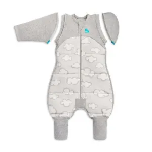 Love to Dream Transition Suit 2.5Tog Daydream Grey Large