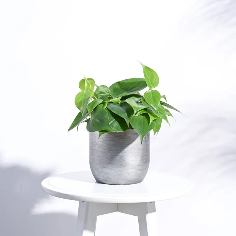 UGAOO Planter Ball Retro- Silver