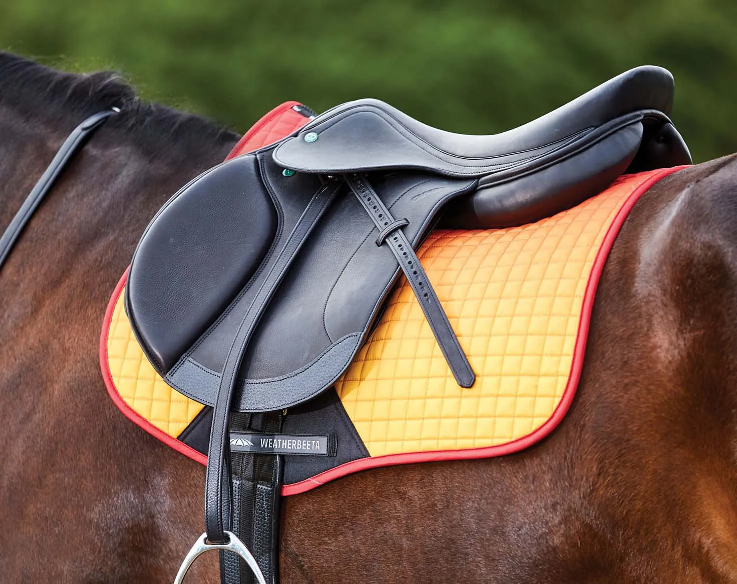 WeatherBeeta Prime Ombre All Purpose Saddle Pad