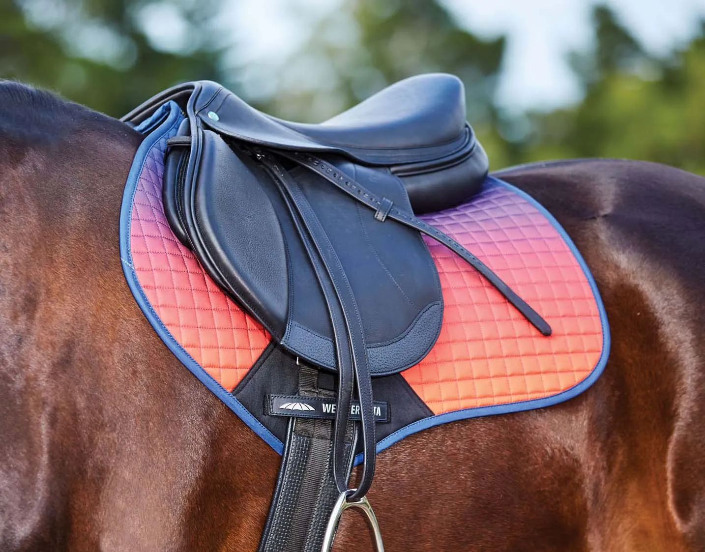 WeatherBeeta Prime Ombre Jump Shaped Saddle Pad